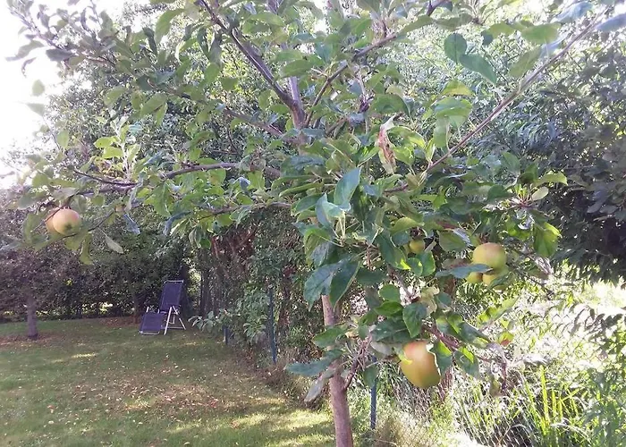 Сasa de vacaciones Bij De Catalpa