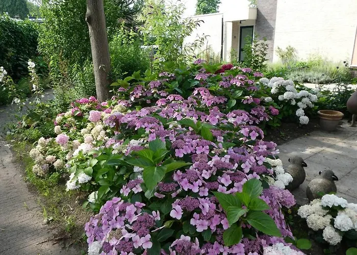 Bij De Catalpa Vakantiehuis *