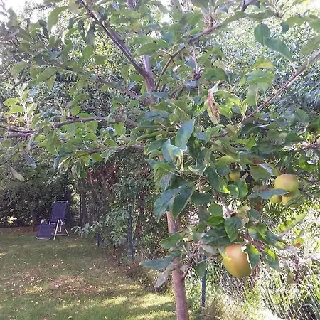 度假居 Bij De Catalpa